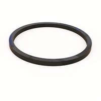 Sealing ring RS-SR