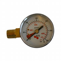 Manometer -1/4″NPT, 0-315bar