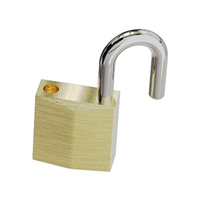 Lock -Abus 65/20